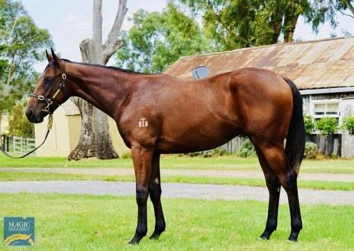 Astern X Tanita (Rusty)